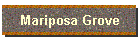 Mariposa Grove