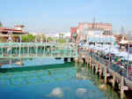 CanneryRow.jpg (138171 bytes)